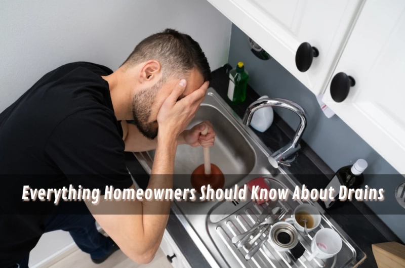 Everything Homeowners Should Know About Drains
