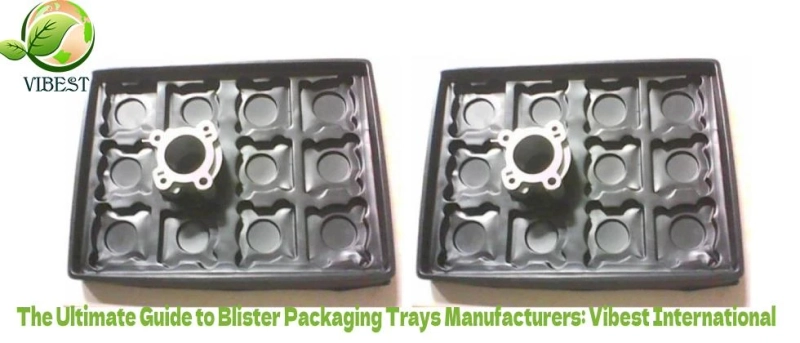 The Ultimate Guide to Blister Packaging Trays Manufacturers: Vibest International