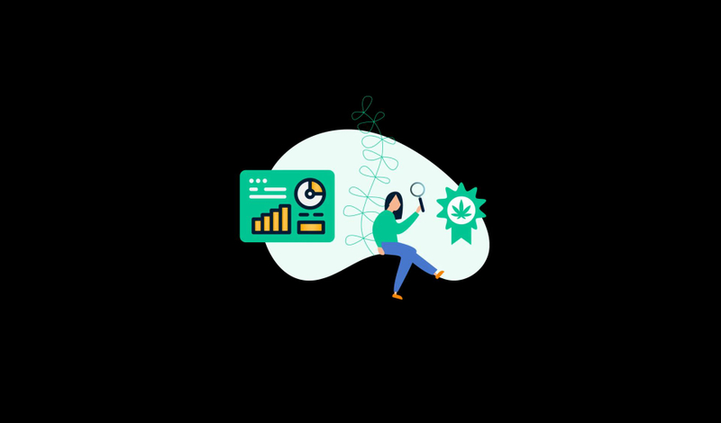 Upgrade Your Expertise with Cannabis Online Courses
