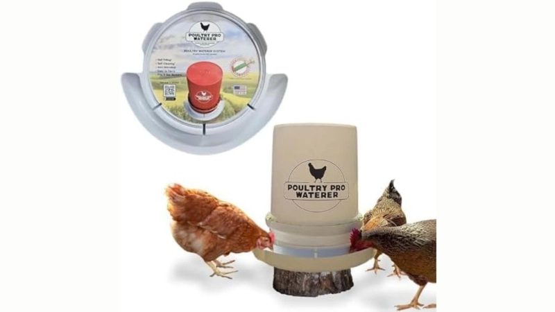 DIY Chicken Waterer: How to Build a Professional Coop on a Budget