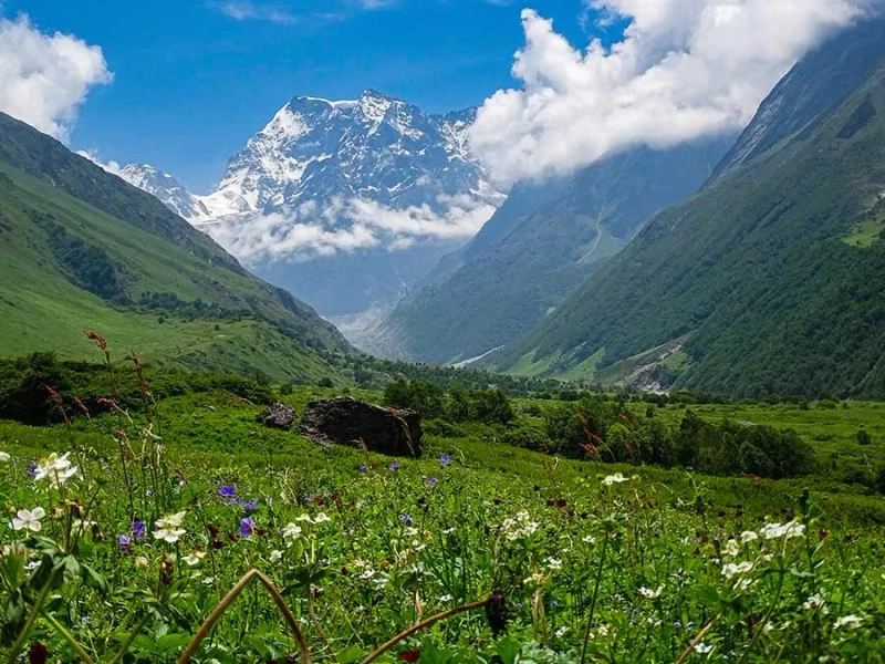 Valley of Flowers Trek: A Himalayan Paradise Awaits 