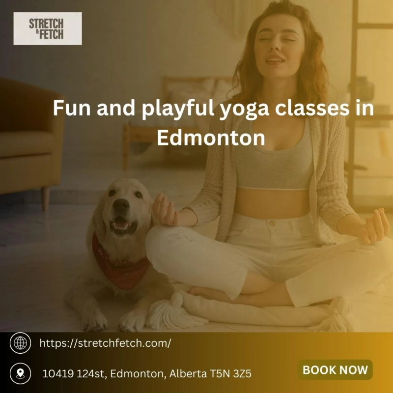 Fun and Playful Yoga Classes in Edmonton: A Joyful Way to Stay Active