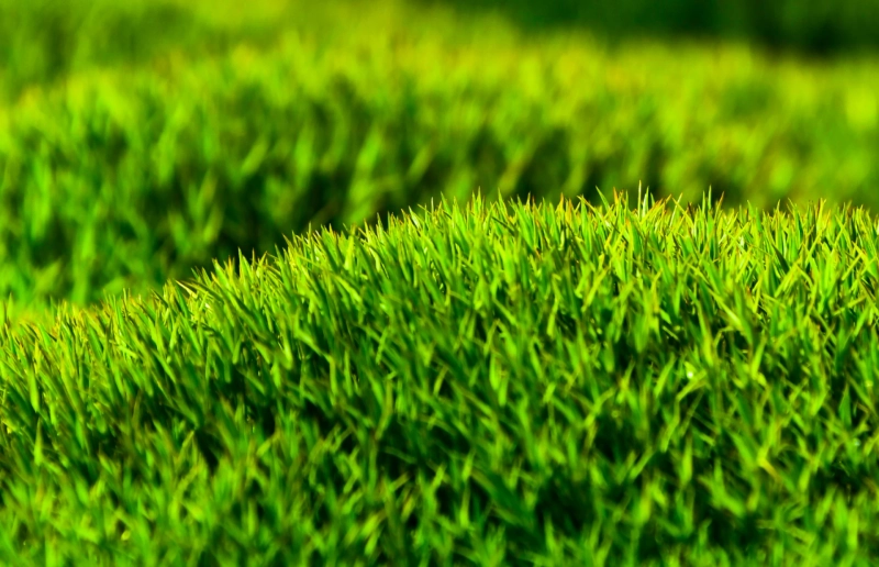 Artificial Grass Installer Near Me: A Complete Guide to Local Services by Yate Artificial Grass