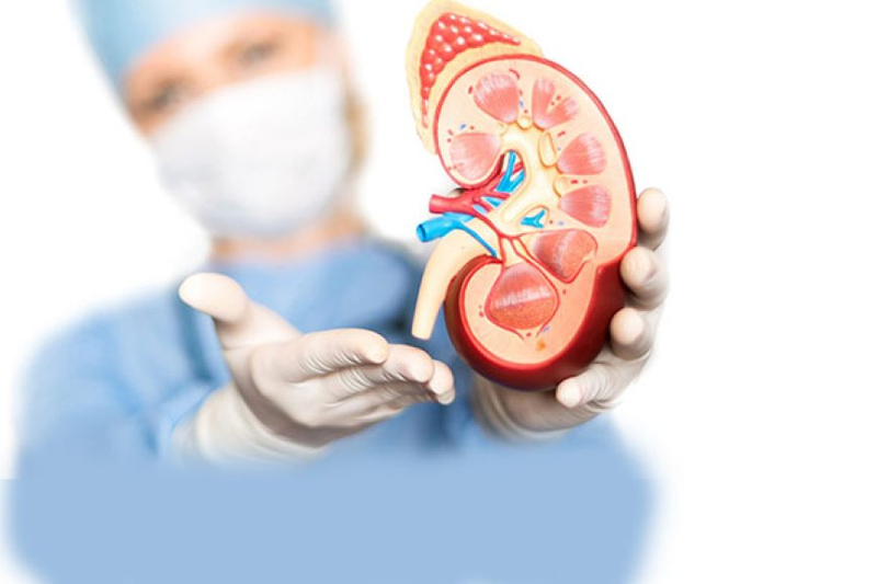 Causes Kidney Failure Consult Niren Rao, A Kidney Stone Specialist in Delhi
