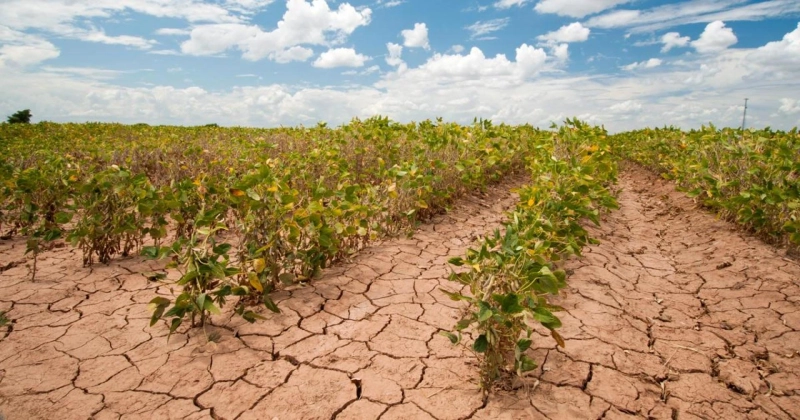 How Farmers Can Reduce the Impact of Climate Change on Agriculture