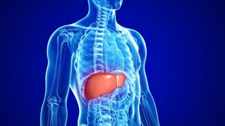 What Is Liver Fluke Infection: A Comprehensive Guide