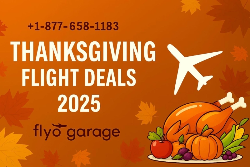 +1-877-658-1183 | Thanksgiving Flight Deals | FlyoGarage