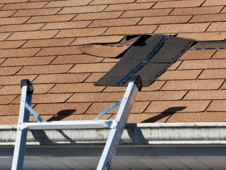 An Insight Into The Functions Of A Roofing Contractor Working On Your Roof
