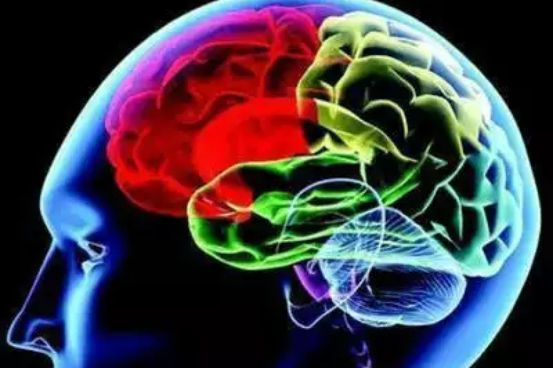 Supercharge Your Memory and Brain Power Today
