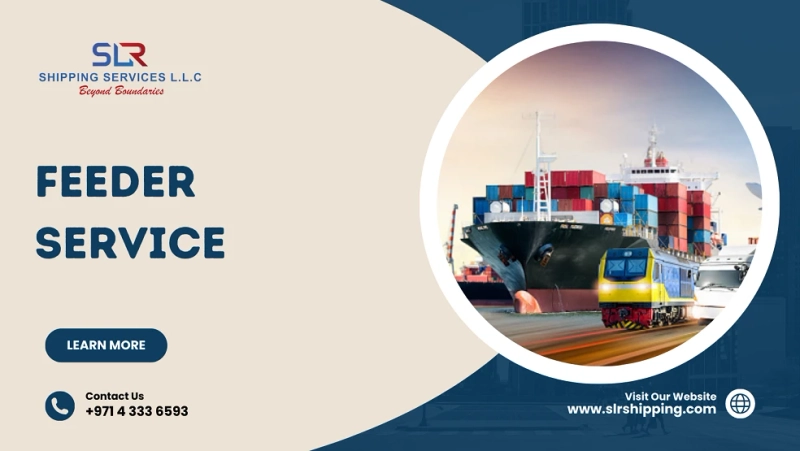 How to Choose the Best Feeder Shipping Service Provider?