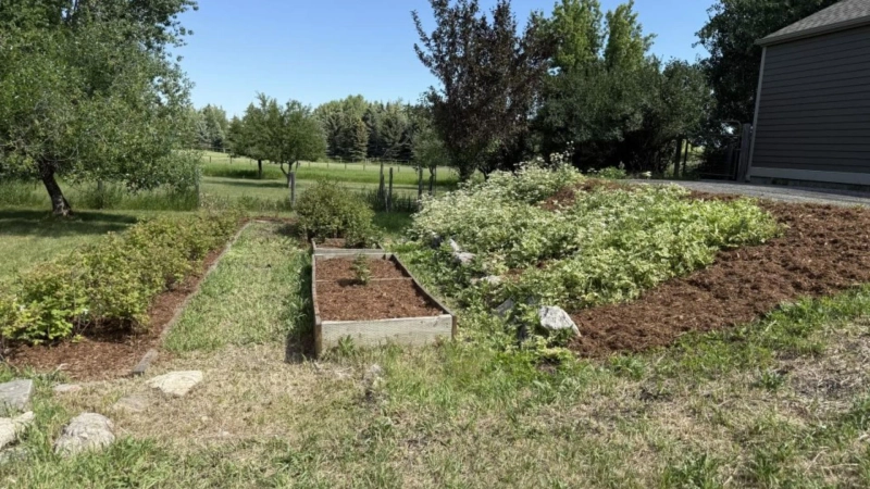Struggling With Yard Work? Top Local Lawn Care Companies Can Help