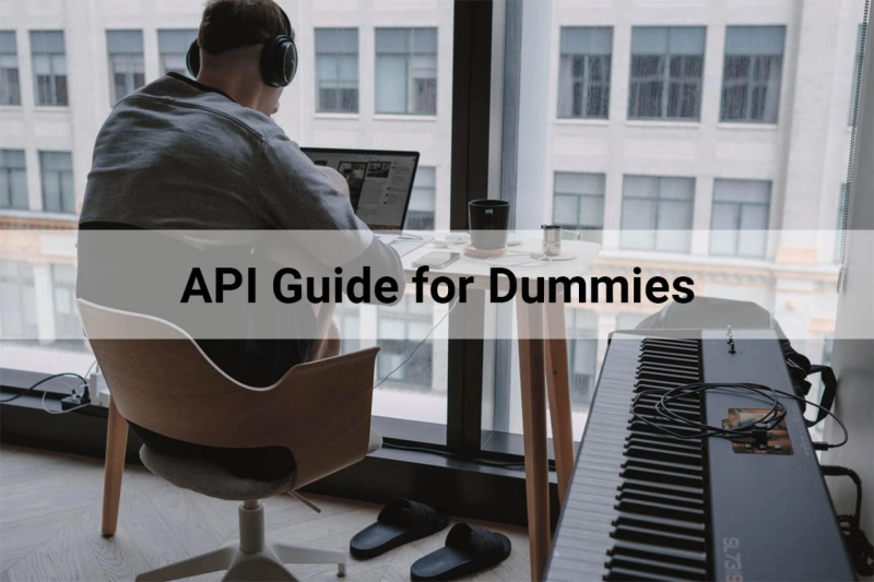 API (Application Programming Interface) Guide for Dummies