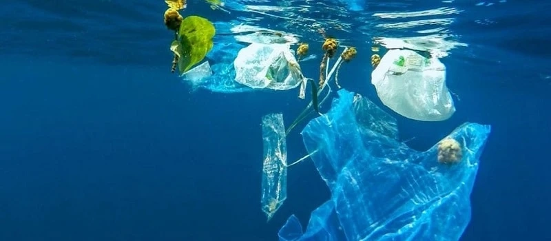 Introduction to soluble bags, envelopes, and packing