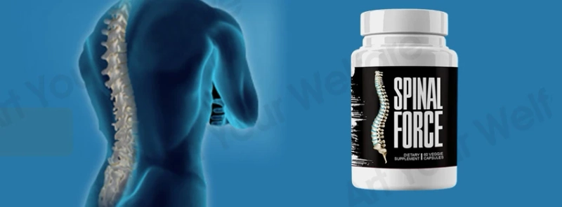 Spinal Force Review - Get Rid of Back Pain