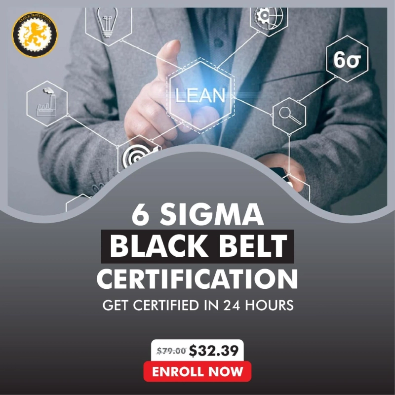 7. Which is the Best and Cheapest Six Sigma Black Belt Institute?