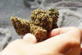How To Buy CBD Shatter And Delta 8 Flowers Online