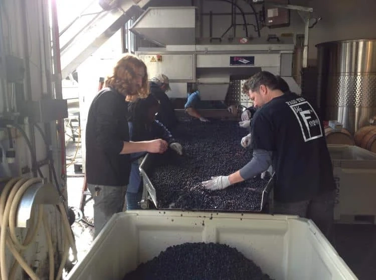 Exploring the Best: Washington Taylor Private Wine Tour and Woodinville's Finest