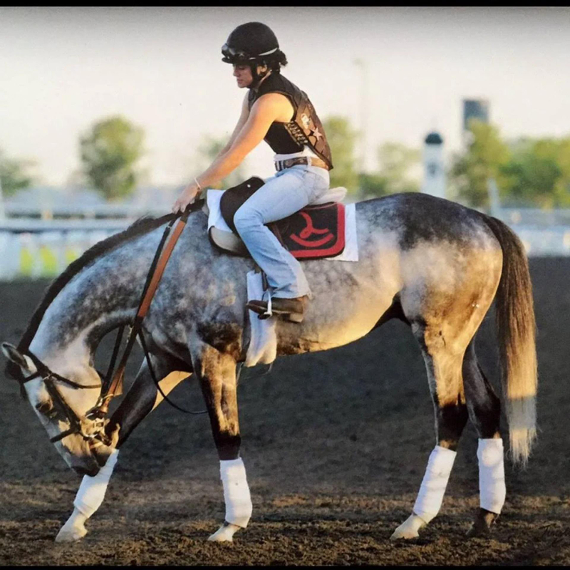 Understanding the Role of Livestock Supplements in Modern Farming