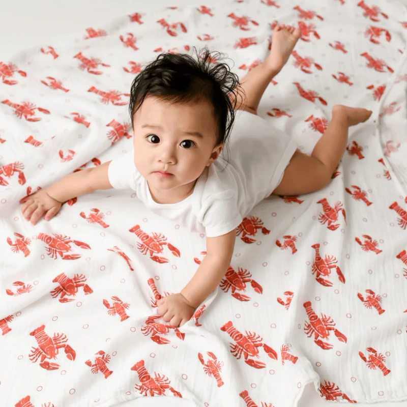 Adorable Boston Baby Gifts Inspired by Massachusetts Roots