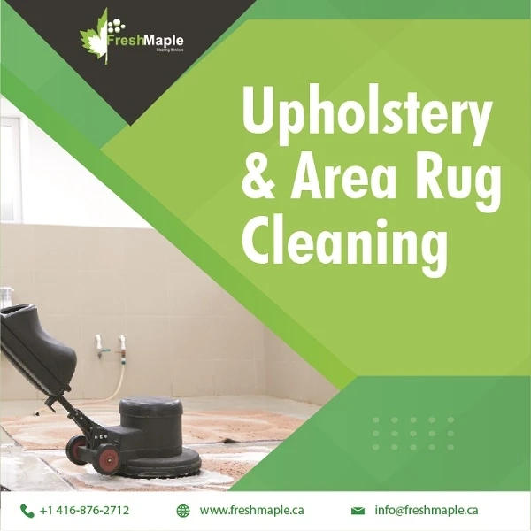 Professional Upholstery & Area Rug Cleaning Make Your Home Lively