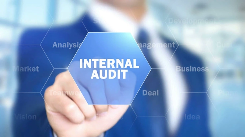 What Are the Types of Internal Audit?
