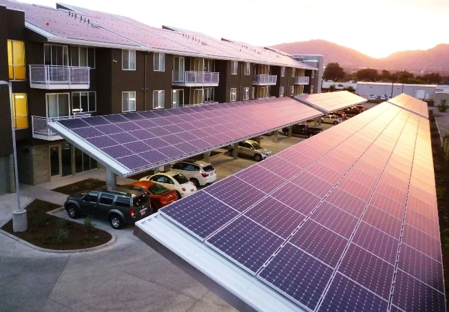 Why Squirrel Infestations Are Common in Solar-Heavy Neighborhoods