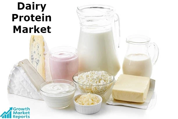 South America Dairy Protein Market – Growth Market Reports