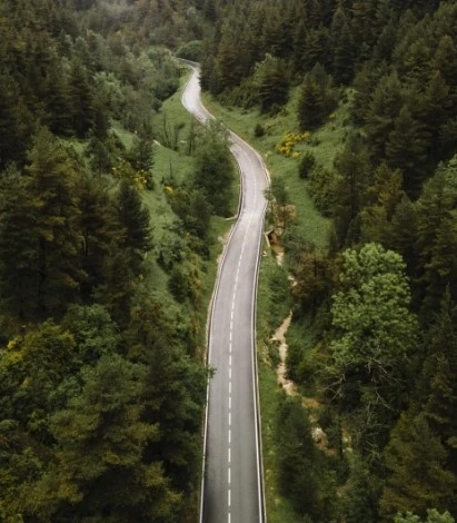 Outsourced SDR Services to Drive Revenue Growth