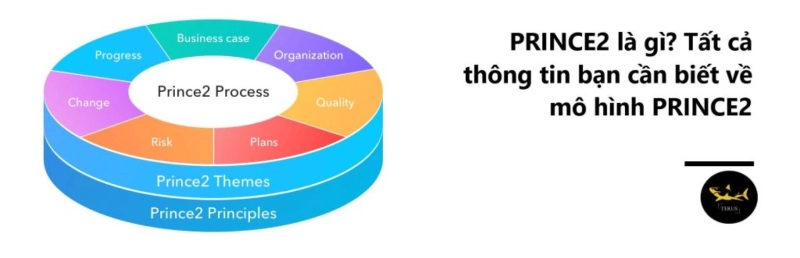 Các Vai Trò Quan Trọng Trong Quản Lý Dự Án Với PRINCE2