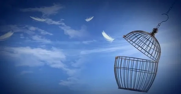 Reliable Bail Bonds in Polk County | Bartow & Sebring Experts