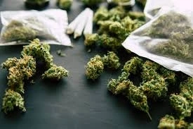 What Are the Key Benefits of Choosing Weed Delivery in Guelph Over Traditional Shopping