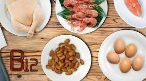 The Importance of Vitamin B12
