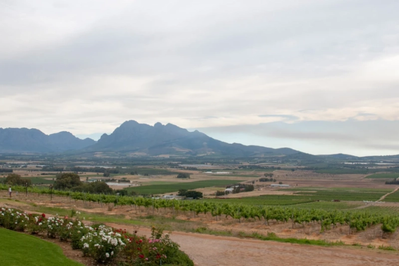 Buying Property in Paarl: What You Need to Know