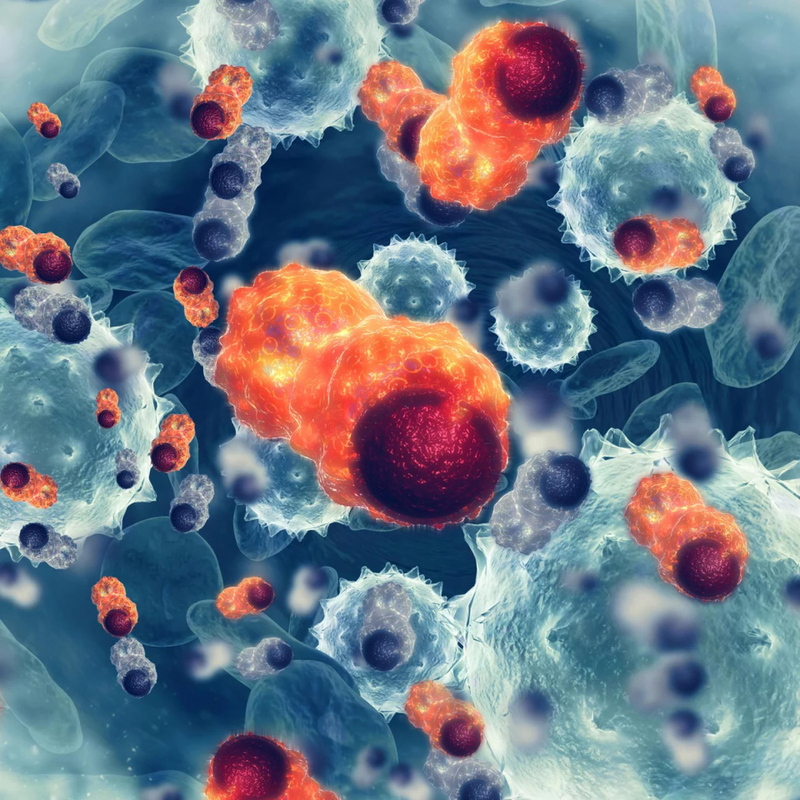A Follicular Lymphoma Treatment Process Is Used In Most Industries To Produce Bags And Pouches Using Polypropylene (PP) And Polyethylene (PE) Sheets