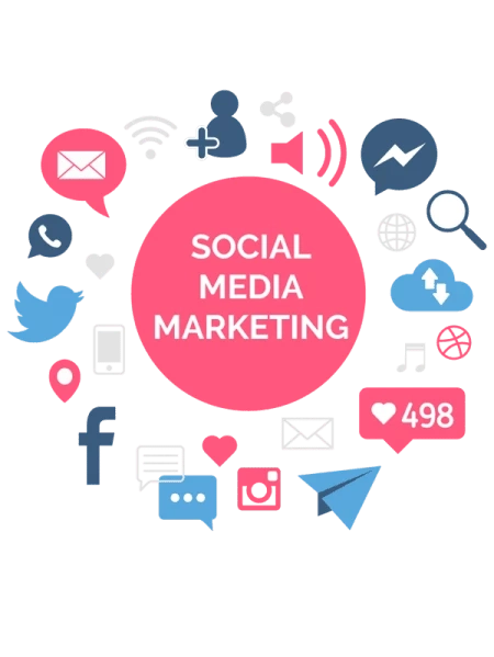 Shaping Trust and Engagement Through Reputation and Social Media