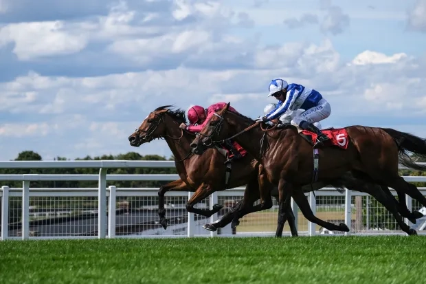 Horse Racing Tips and Smart Betting Guide
