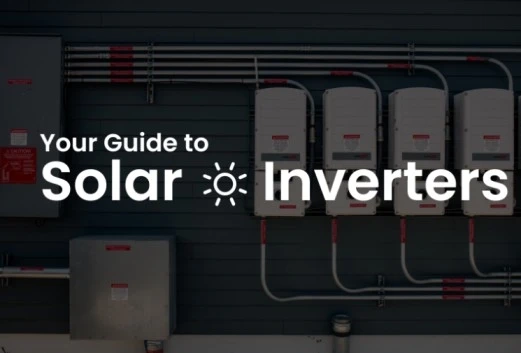 Sunshine Coast Solar: Pioneering the Energy Revolution