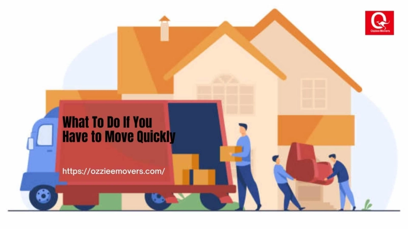 What To Do If You Have to Move Quickly