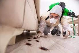 From Cockroaches to Bed Bugs: Defeating the Most Common Household Pests