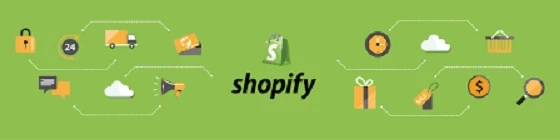 What is the Need for Hiring a Shopify Expert