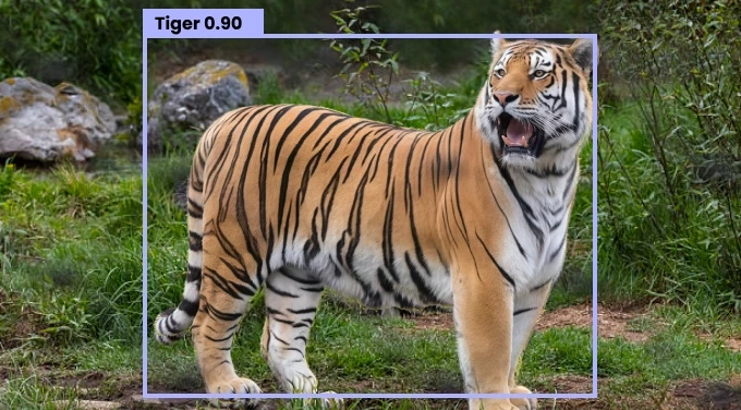 Revolutionizing Zoo Management: How AI-Powered Computer Vision Enhances Wildlife Conservation and Animal Care