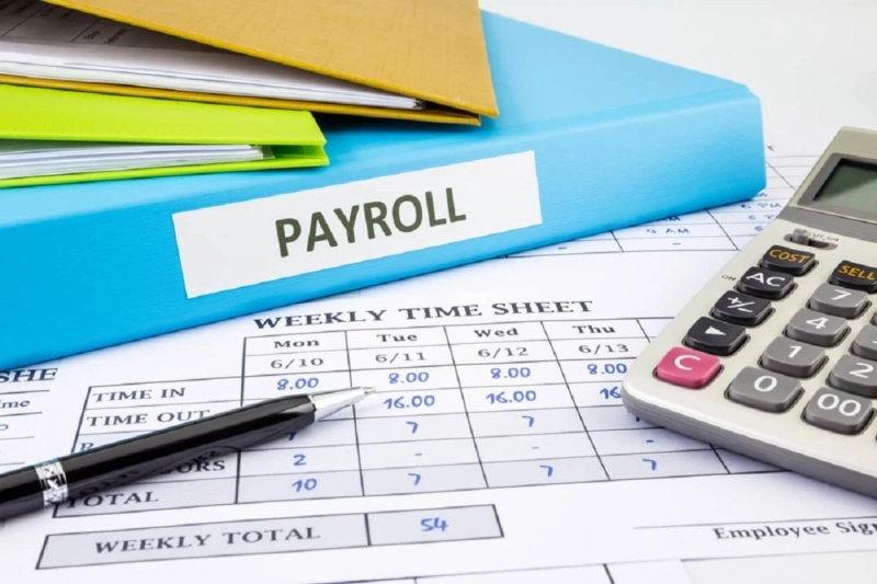 Assess A Payroll Software: A Guide for Small Businesses