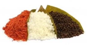 Looking for a Reliable Bio Fertilizer Exporter for Global Supply?