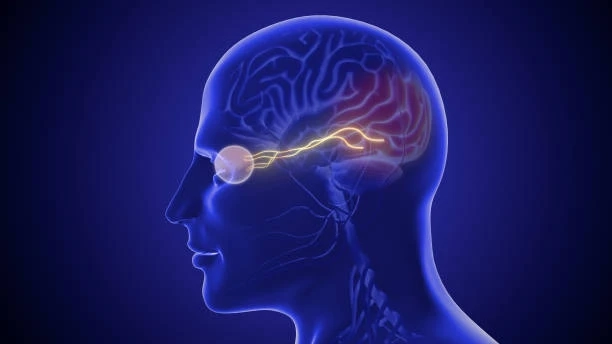 Top 5 Best Neurology Hospital In Delhi