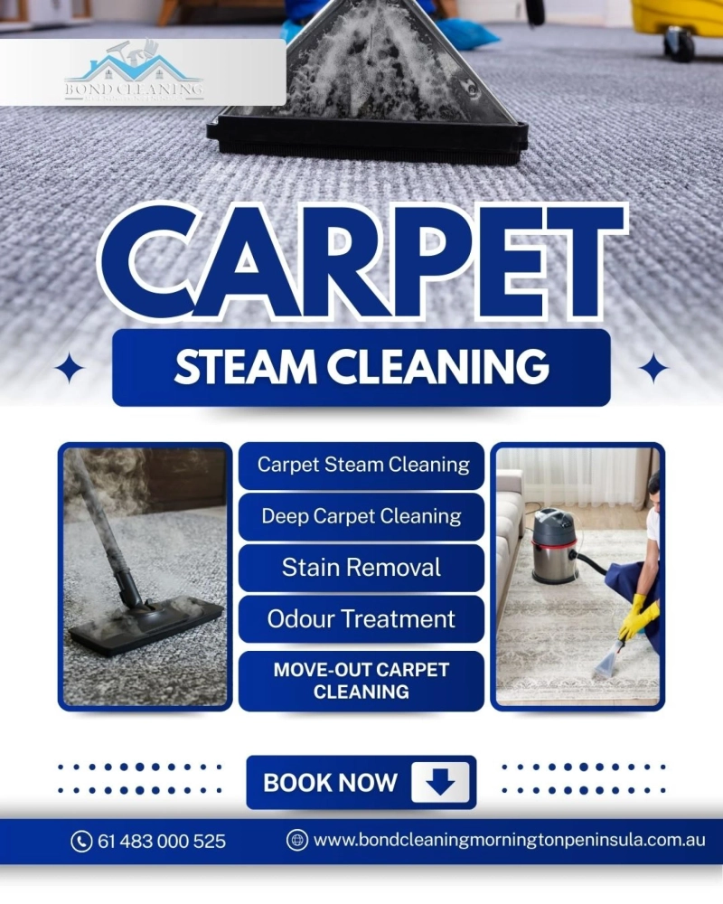 When and Why You Should Choose Carpet Steam Cleaning