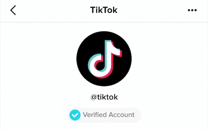 How to get verified on TikTok?