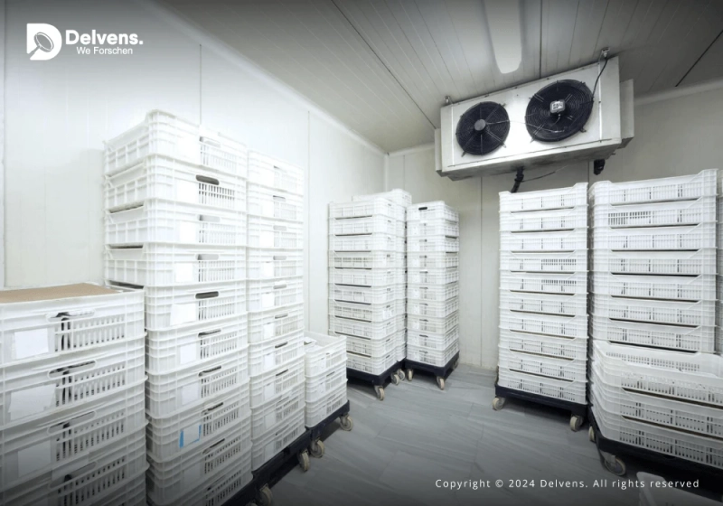 Commercial Refrigeration Equipment Market Research Report: Exploring Growth Opportunities