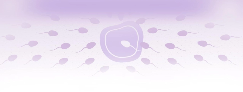 Egg Donor Requirements in Texas: What You Need to Know