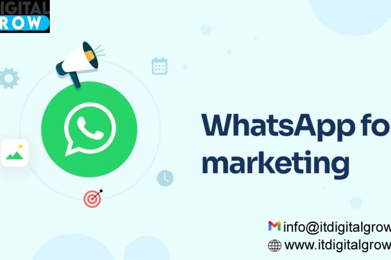 What is the profit of WhatsApp marketing