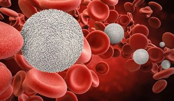 What You Need To Know When Buying Oral Chelation Therapy Drugs